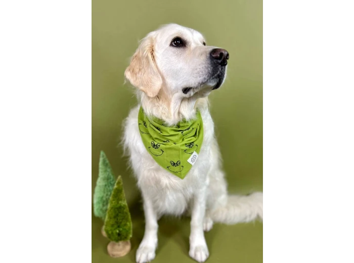 Grinch Dog Bandana XL