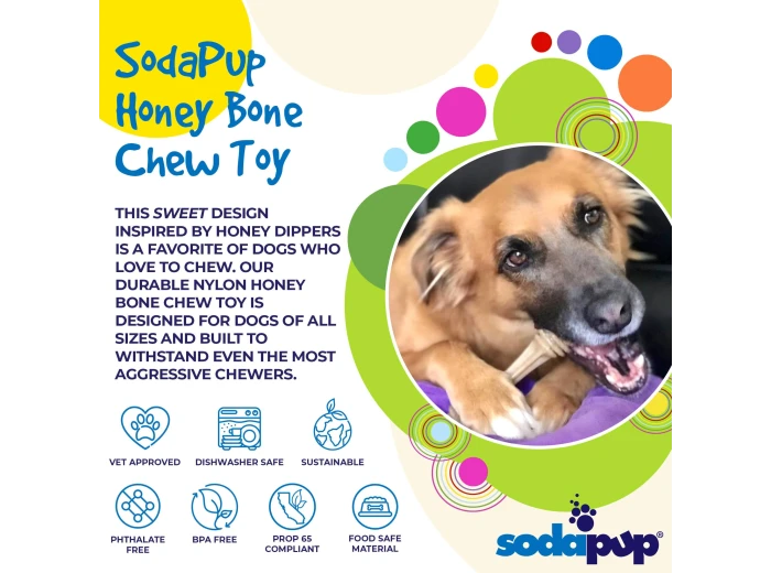 Honey Bone Nylon Chew Bone for Dogs Large