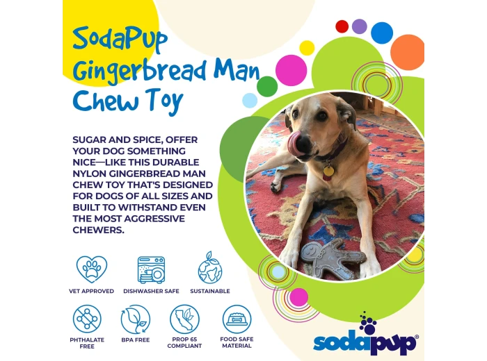 Gingerbread Man Christmas Nylon Chew Toy