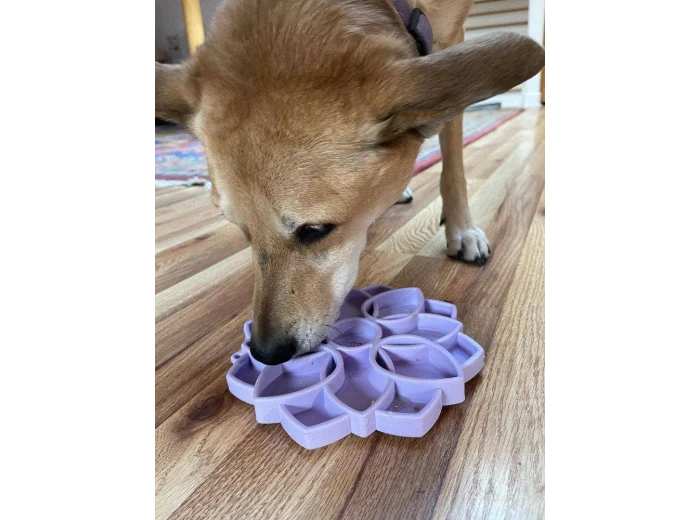 Mandala "Softie" eTray Enrichment Tray for Dogs Light Green