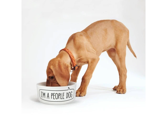Howligans - Mug + Dog Bowl - Dog Person