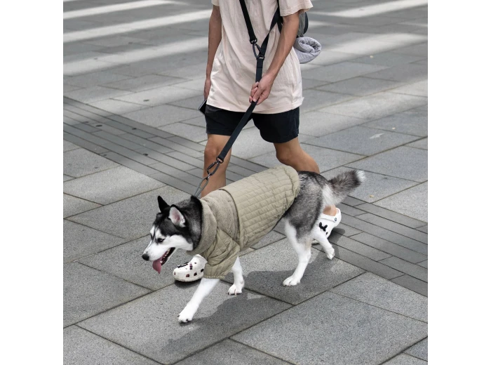 WHOLESALE SOHO//DOG CLOTHING//APPAREL Fern