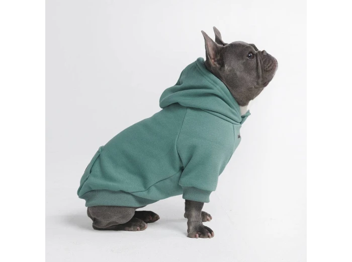 Essential Dog Hoodie - Teal 2XL