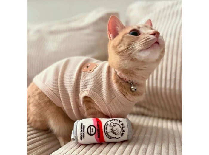 Kitty Klaw Clawberry For Cats