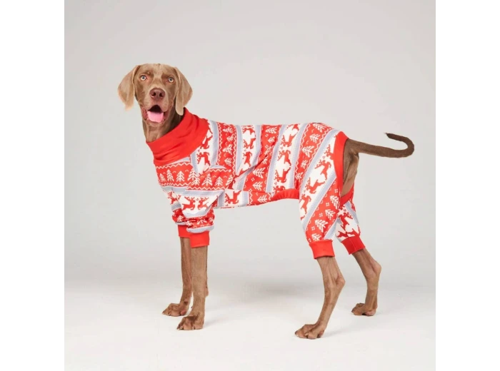 Dog Christmas Pajama - Winter Wonderland 4XL