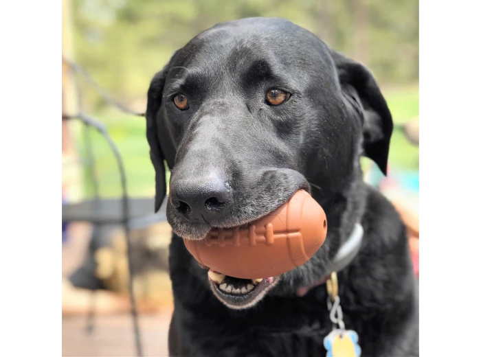 MKB Football - Chew Toy - Treat Dispenser - Large