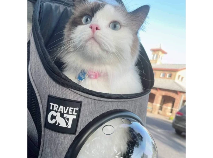 "The Fat Cat" Mini Cat Backpack - Bubble Pet Carrier
