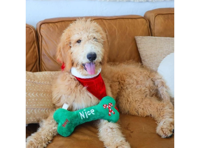 Naughty Nice Bone For Dogs LG
