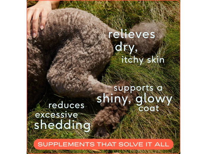 Omega-3 Fish Oil, Skin & Coat Health Supplement for Dogs 16 oz