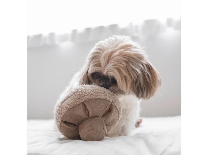 WHOLESALE GUU//OAT//NOSEWORK MUSHROOM//ENRICHMENT DOG TOY Medium