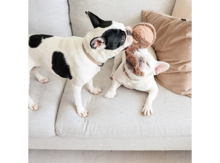 WHOLESALE SQUIRREL POP//ENRICHMENT DOG TOY M