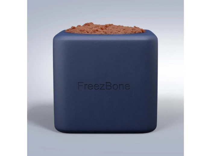 Freezbox Navy