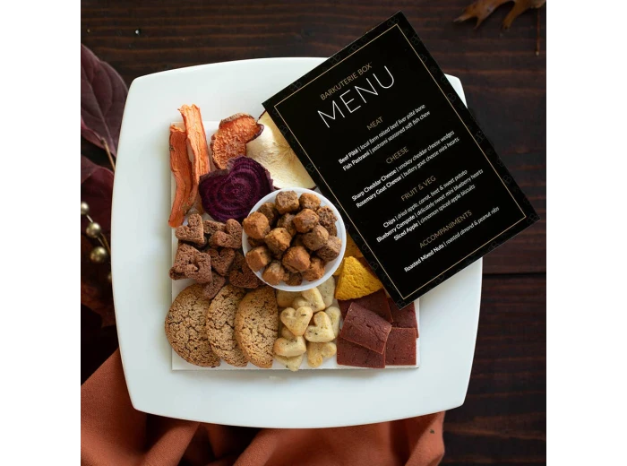 Dog Charcuterie / Barkuterie Treat Box, 3 sizes Large