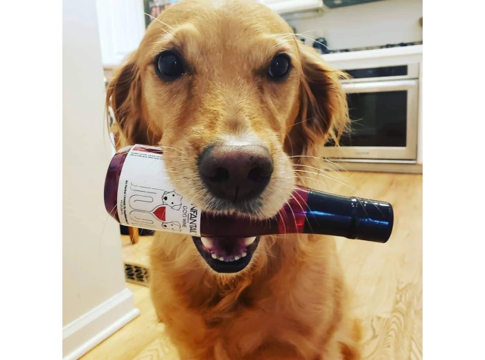 Zinfantail Fish Oil + Bone Health Dog Wine Liquid Supplement