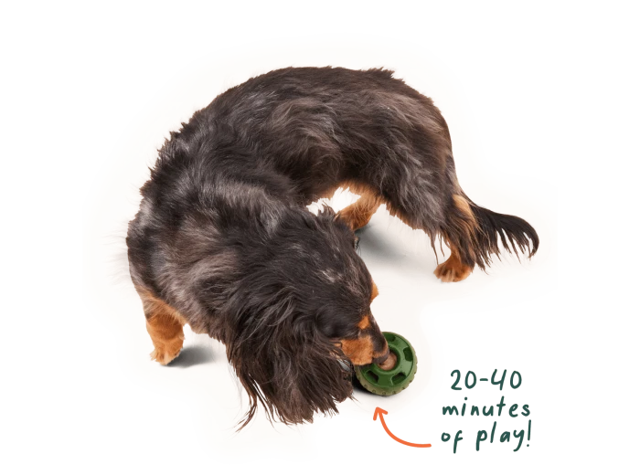 Pupsicle Pops Chicken