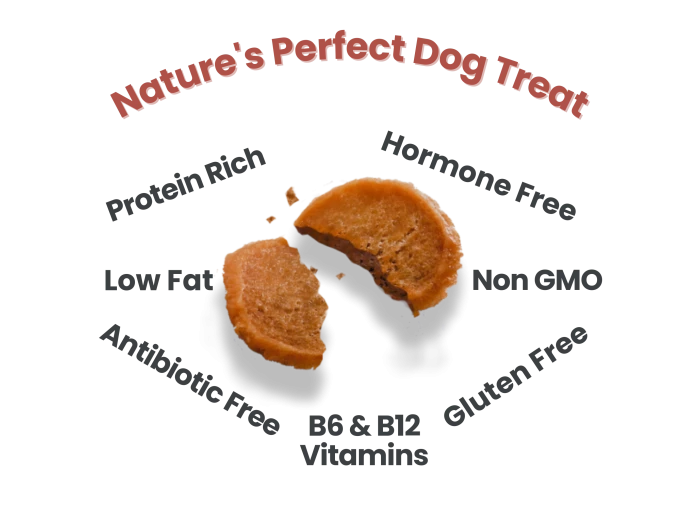 Turkey Chips Dog Treats 12oz