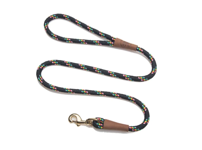Snap Leash - 1/2" X 6' TriColor Pride