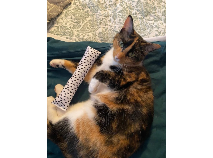 Cat nip kicker Valentines Day