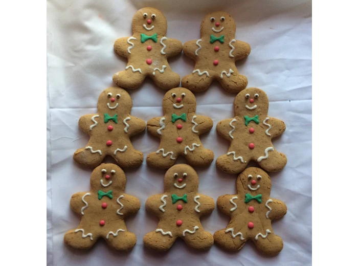Christmas Gingerbread Gluten Free Dog Treats (PreBook)
