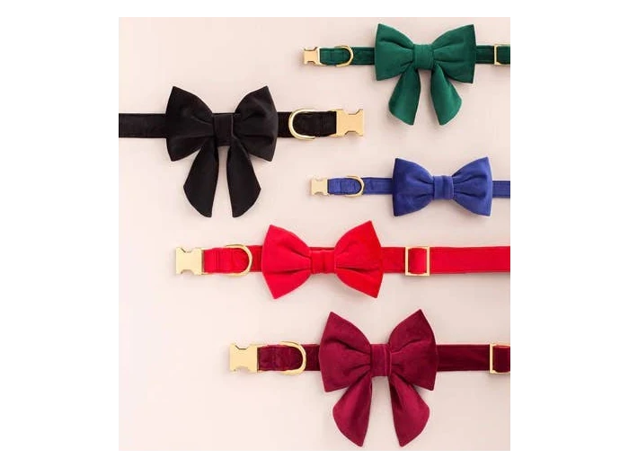 Cranberry Velvet Dog Collar M Gold