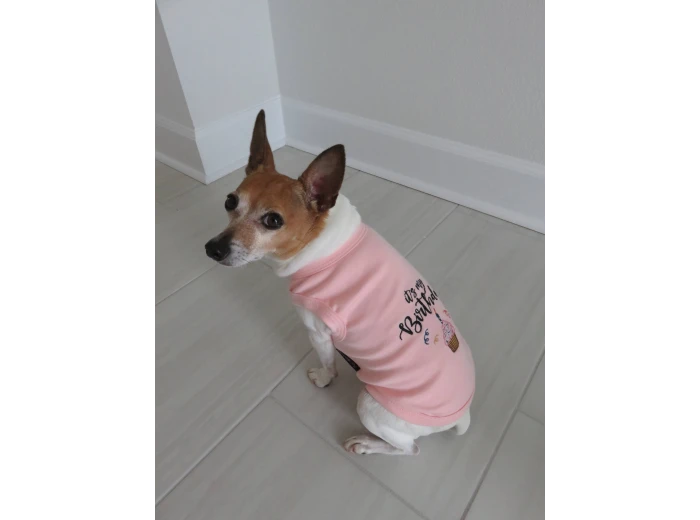 Birthday Girl Dog T-Shirt 3XL