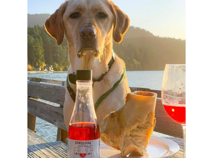 Zinfantail Fish Oil + Bone Health Dog Wine Liquid Supplement