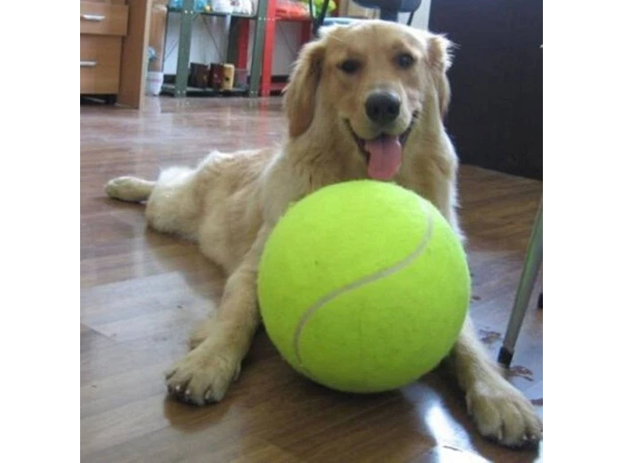 Jumbo Tennis Ball