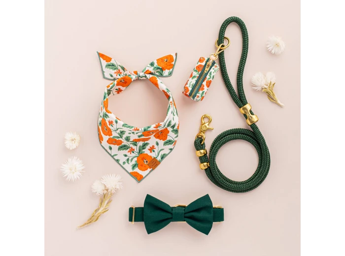 Evergreen Marine Rope Dog Leash 5 feet