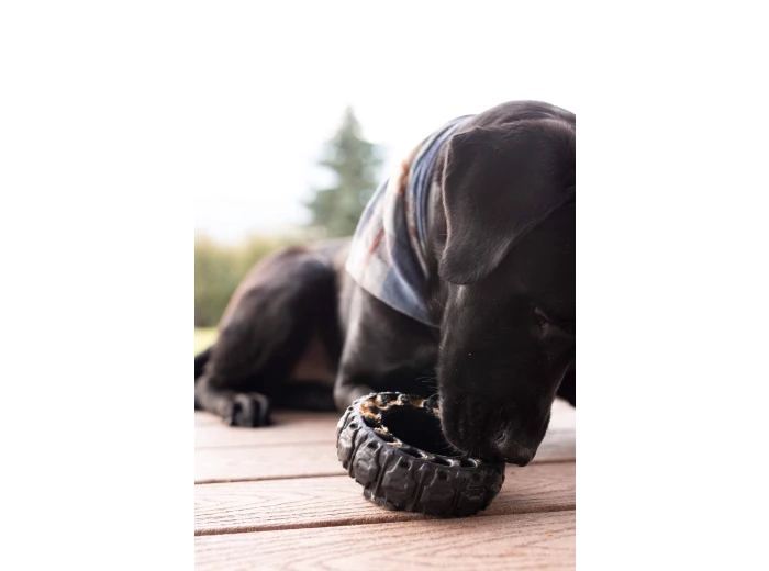 The Tire - Reclaimed Rubber Toy - MADE IN THE USA Small