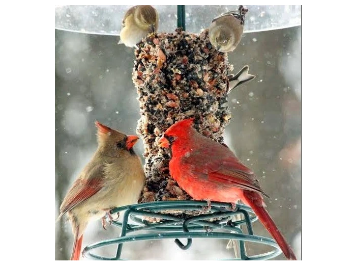 Bugs, Nuts, & Fruit Cylinder - Small
