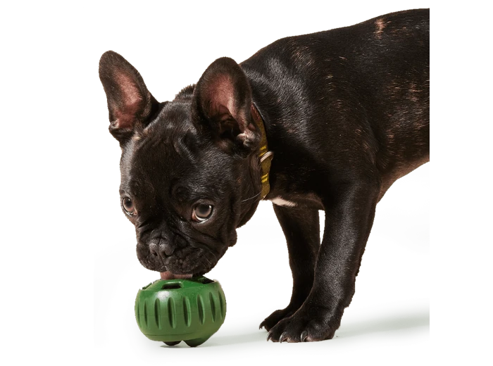 Pupsicle Pops Chicken