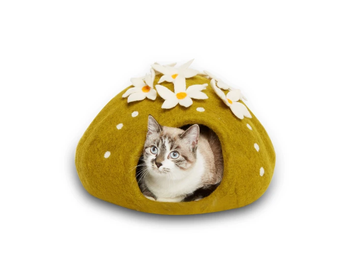 Cactus Wool Pet Cave
