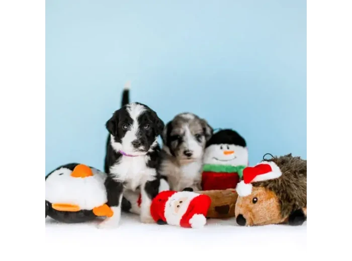 Holiday Squeakie Buddies - Santa, Reindeer, Snowman Christmas Dog Toy