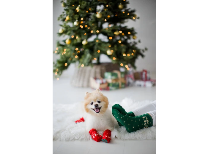 Nice & Naughty List Human & Dog Christmas Sock Set