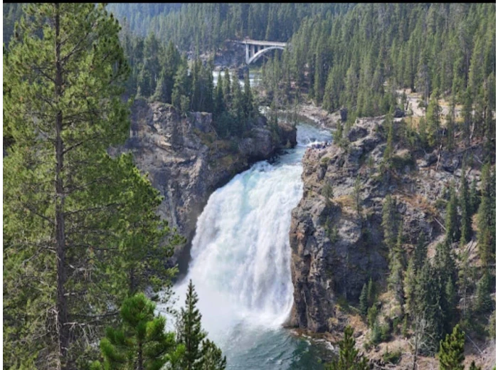 Spray Cologne For Dogs - Yellowstone - National Park Series