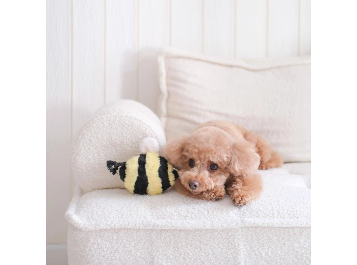 WHOLESALE BEE POP