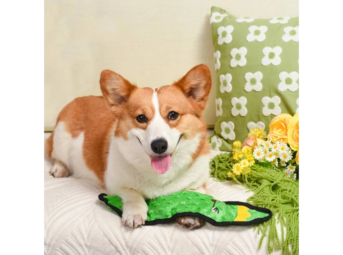 HugSmart Pet - Squeakin’ Vegetables | Pickle - Dog Plush Toy