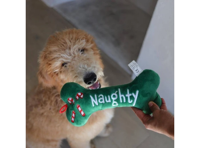 Naughty Nice Bone For Dogs LG