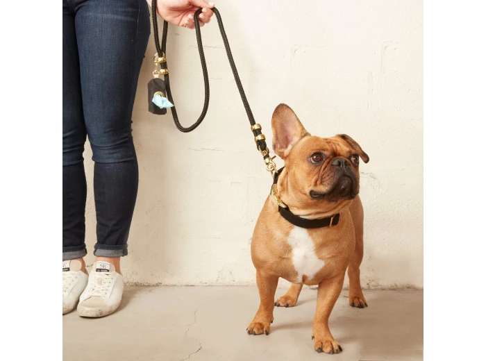 Onyx Marine Rope Dog Leash Petite 5 feet