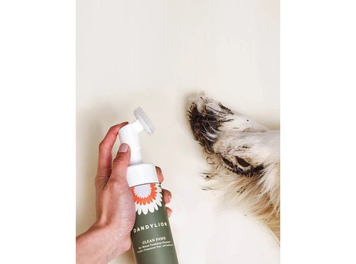 Clean Paws No-Rinse Foaming Cleanser