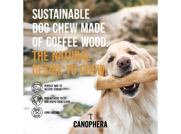 Dog Chew Stick Made of Coffee Wood.