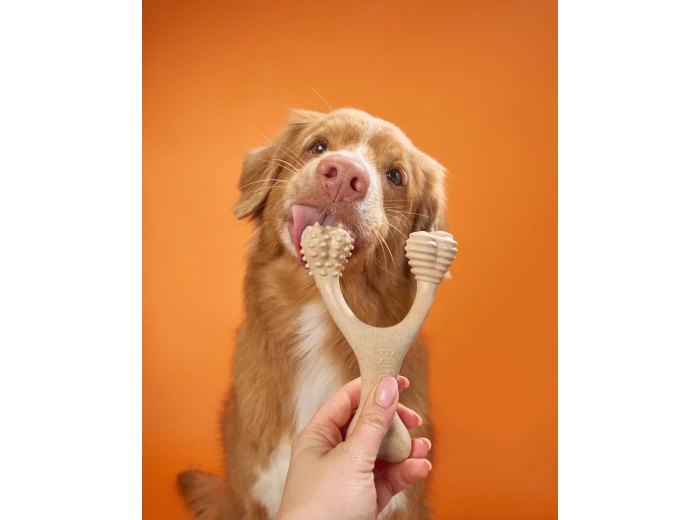 BetterBone HARD -Durable, All-Natural, No Nylon, Sustainable Unflavored