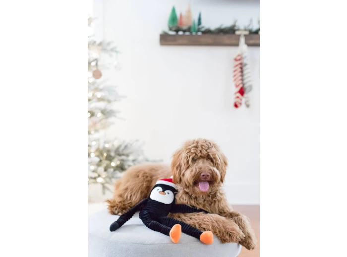 Holiday Crinkle - Penguin - Small - Happy Hour Crusherz - Holiday (3-pack) - Christmas Dog ToyDog Toy
