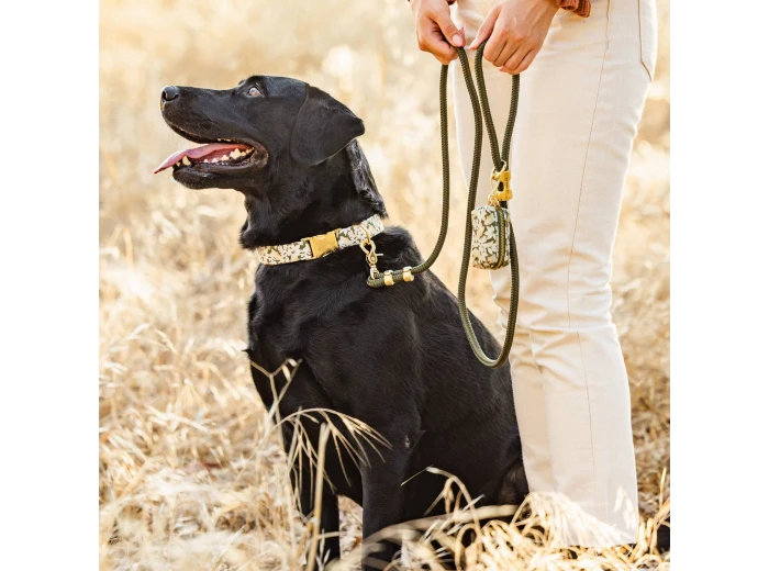 Olive Marine Rope Dog Leash 5 feet