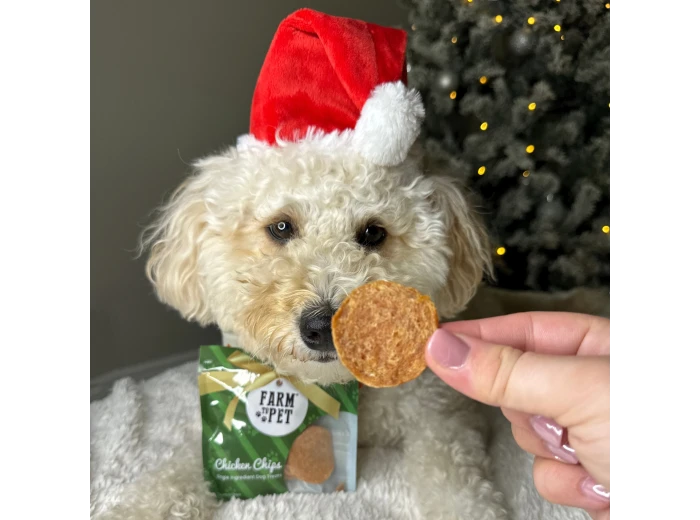 Holiday Dog Treat Snack Pack Bundles (24) 12 Chicken & 12 Turkey Holiday Chicken Snack Packs
