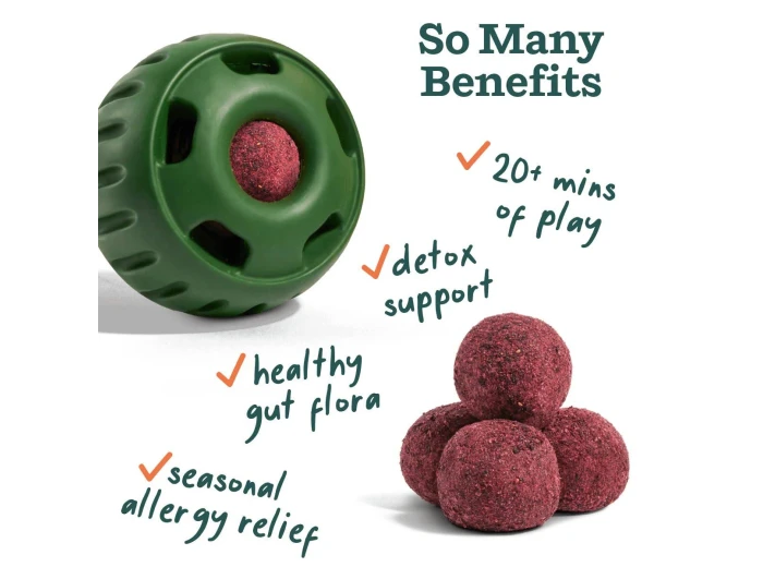 Allergy & Immunity Wellness Pops Large
