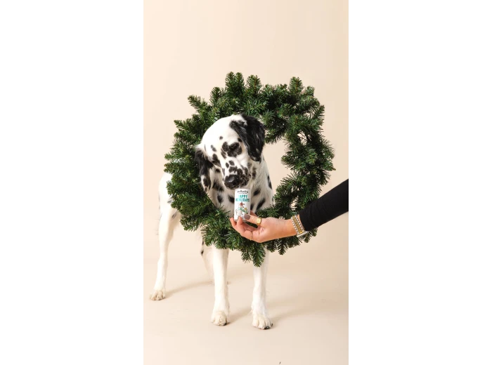 Holiday Mini Tube: Yappy Howlidays - Dog Treats