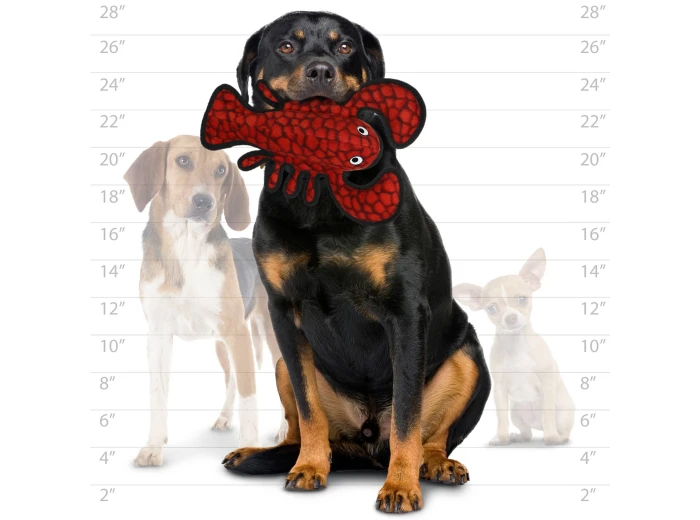 Tuffy Ocean Lobster, Durable, Tough, Squeaky Dog Toy