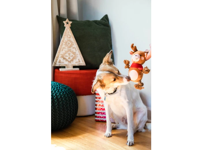 Reindeer Plush Rope Christmas Dog Toy