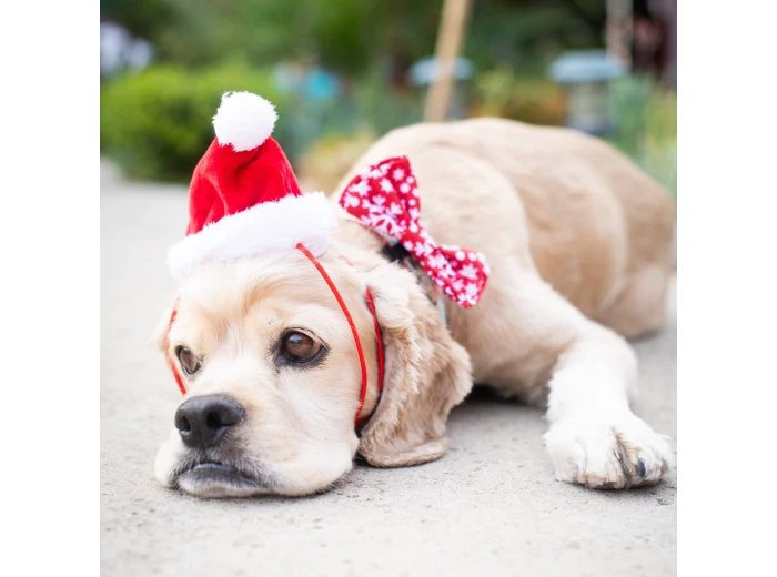 H&K Hat Santa with SnugFit® MD